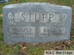 Katie A Stupp