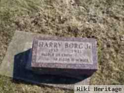 Harry Borg, Jr