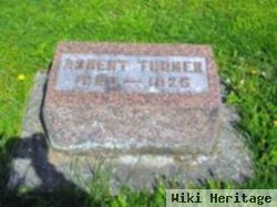 Robert Turner