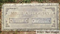 Mellie Ann Lukavsky