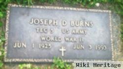 Joseph D Burns