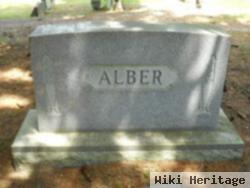 Michael P Alber