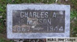 Charles A. Nelson