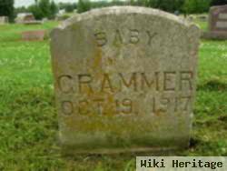 Baby William Grammer