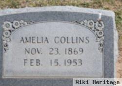 Amelia "mother Collins" Fleming Collins