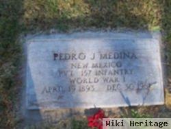 Pedro J Medina