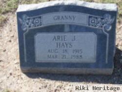 Arie J Hays