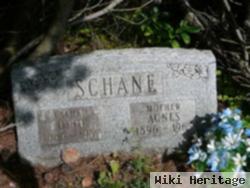 Otto Schane