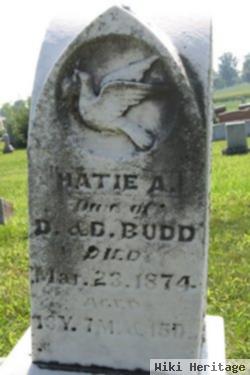 Harriet Amanda "hatie" Budd