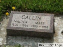 Mary E. Callin