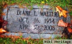 Diane E Walter