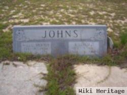 William Thomas "skip" Johns, Jr