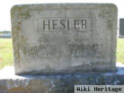 John Gibson Hesler