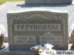 Steve M Przyborski