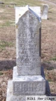 Ellis E. Fisher