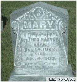 Mary Jane Evans Harvey