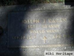 Joseph J Kagan