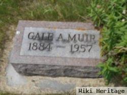 Gale A. Muir