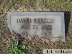 David S. Webster