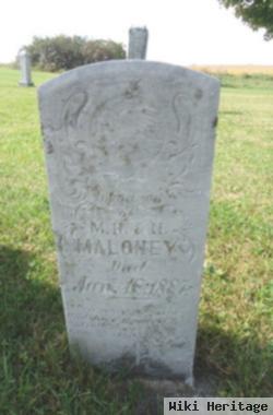 Infant Son Maloney