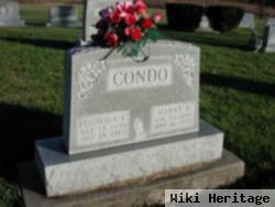 Harry P. Condo