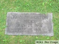 John Nicholson Hicks