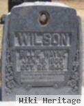 Billie Wayne Wilson