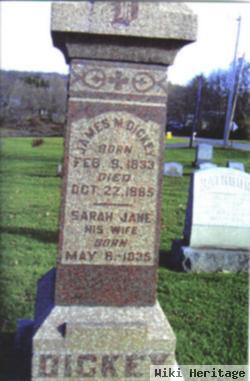 Sarah Jane Schenck Dickey