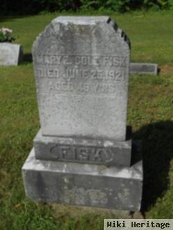 Mary E. Cole Fisk