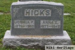 Anna Elizabeth Fox Hicks