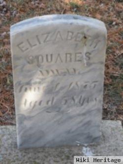 Elizabeth Squares