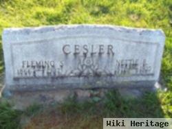 Fleming S Cesler