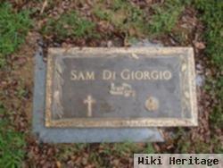 Sam D. Digorgio