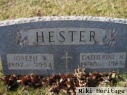 Joseph W Hester