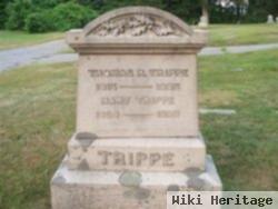 Thomas R Trippe