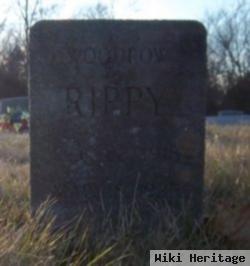 Woodrow Rippy