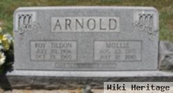 Roy Tildon Arnold