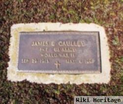 James E Gaulley