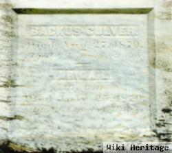 Backus Culver