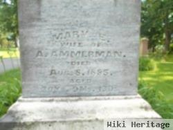 Mary E. Ammerman