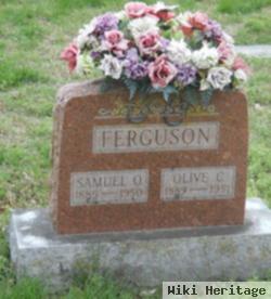 Samuel Owen Ferguson