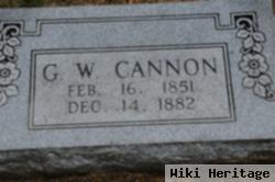 George Washington Cannon