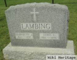 Lewis E Lambing