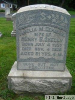 Amelia M Gehman Shelly