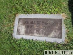 Joseph Albert "joe" Barnes