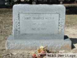 James Sharfner Walker