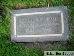 Elizabeth J James Danky