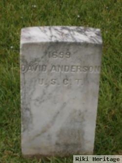 David Anderson