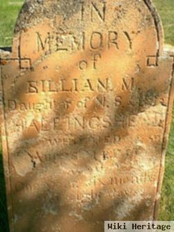 Lillian M. Hollingshead