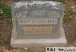 Nathaniel Alford "nat" Settle